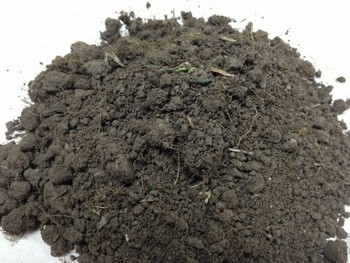 Soil is important in Lawn Care